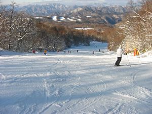 スキー場でおもいっきり遊んで　鬼怒川・川治温泉でゆっくり