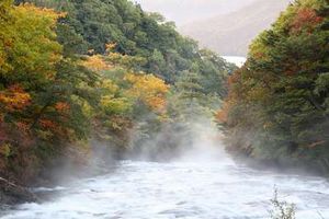 日光の紅葉