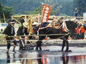 今市田植祭(5月25日)