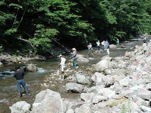 渓流岩魚釣り大会