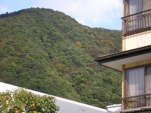 今日の鬼怒川、紅葉情報♪