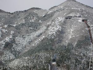 雪が降りました♪