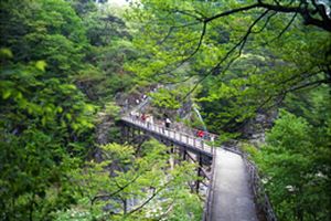 ～新緑の季節到来～　龍王峡ハイキングがオススメ！