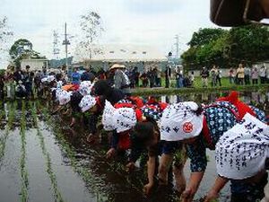 今市田植祭(たうえさい)　〔日光市（今市）〕