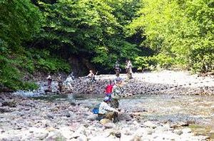 奥鬼怒・川俣温泉渓流岩魚釣り大会　〔日光市（川俣温泉）〕