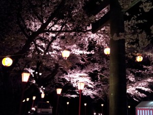 夜桜祭り♪