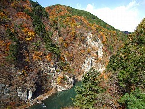 日光・鬼怒川　紅葉情報(^_^)/