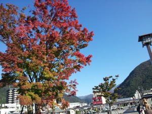 日光・鬼怒川温泉周辺の紅葉情報(^o^)！！