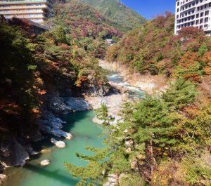 まだまだ紅葉が綺麗です♪