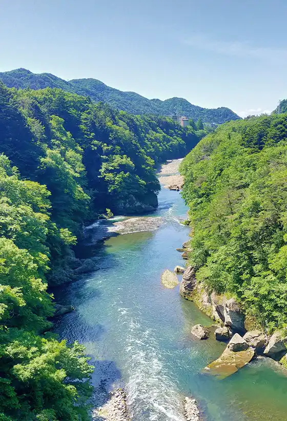 観光・体験