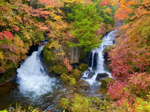 日光紅葉便り♪